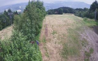 Laskowa - 17-06-2026 12:08