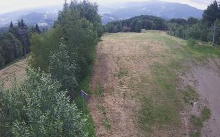 Laskowa - 17-06-2026 06:30