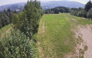 Laskowa - 27-06-2026 09:31