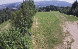 Laskowa - 27-06-2026 11:19