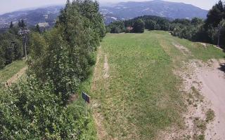 Laskowa - 27-06-2026 11:34