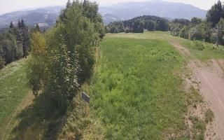 Laskowa - 30-07-2026 08:22