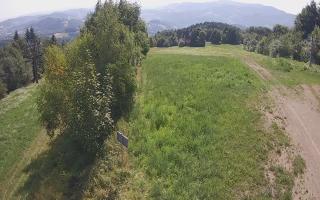Laskowa - 30-07-2026 08:07