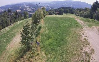Laskowa - 01-08-2026 10:23