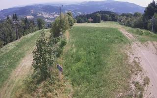 Laskowa - 01-08-2026 10:53
