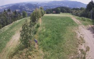 Laskowa - 01-08-2026 11:39