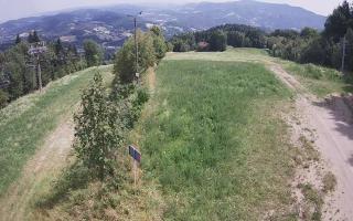 Laskowa - 01-08-2026 11:55