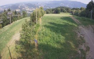 Laskowa - 01-08-2026 14:29