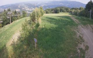 Laskowa - 01-08-2026 14:59