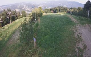 Laskowa - 01-08-2026 16:01