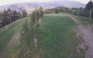 Laskowa - 01-08-2026 16:31