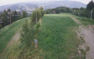 Laskowa - 01-08-2026 17:02