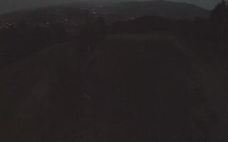 Laskowa - 01-08-2026 19:05