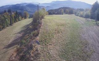 Laskowa - 17-10-2026 08:00