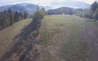Laskowa - 17-10-2026 06:58