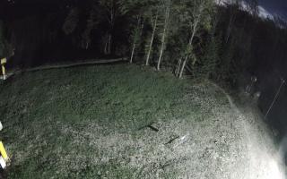 Kasina Wielka - widok z górnej s - 03-05-2025 02:16