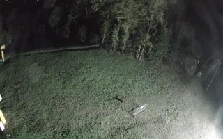 Kasina Wielka - widok z górnej s - 03-05-2025 19:39