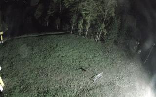 Kasina Wielka - widok z górnej s - 03-05-2025 20:07