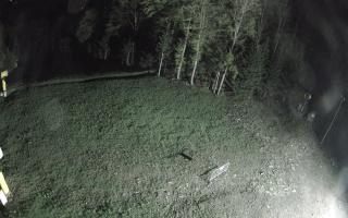 Kasina Wielka - widok z górnej s - 03-05-2025 21:10