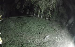 Kasina Wielka - widok z górnej s - 03-05-2025 21:17