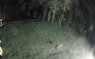 Kasina Wielka - widok z górnej s - 03-05-2025 22:00