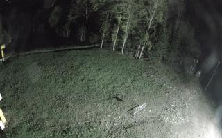Kasina Wielka - widok z górnej s - 03-05-2025 22:07