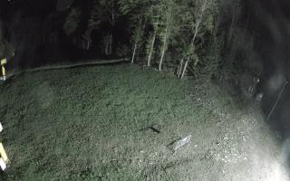 Kasina Wielka - widok z górnej s - 03-05-2025 22:56