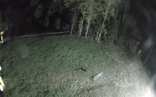 Kasina Wielka - widok z górnej s - 03-05-2025 23:38