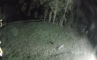 Kasina Wielka - widok z górnej s - 03-05-2025 23:52