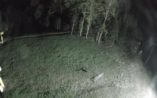 Kasina Wielka - widok z górnej s - 04-05-2025 00:06