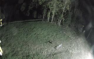 Kasina Wielka - widok z górnej s - 04-05-2025 01:10