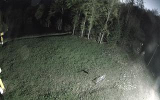 Kasina Wielka - widok z górnej s - 04-05-2025 02:13