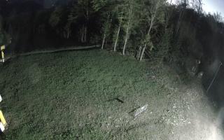 Kasina Wielka - widok z górnej s - 04-05-2025 02:20