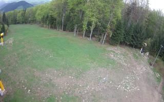 Kasina Wielka - widok z górnej s - 04-05-2025 07:30