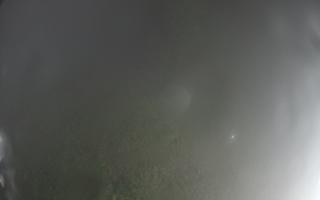Kasina Wielka - widok z górnej s - 17-06-2025 00:25