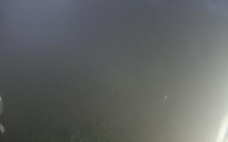Kasina Wielka - widok z górnej s - 17-06-2025 02:03