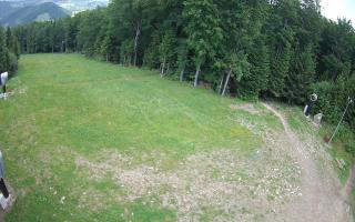 Kasina Wielka - widok z górnej s - 17-06-2025 09:59