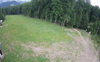 Kasina Wielka - widok z górnej s - 17-06-2025 10:06
