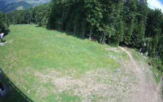 Kasina Wielka - widok z górnej s - 17-06-2025 10:20