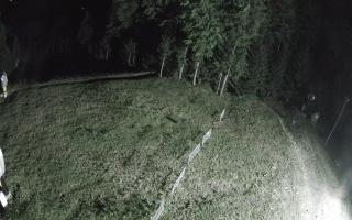 Kasina Wielka - widok z górnej s - 02-08-2025 00:34