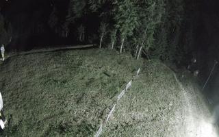 Kasina Wielka - widok z górnej s - 02-08-2025 00:41