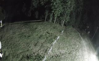 Kasina Wielka - widok z górnej s - 02-08-2025 01:09