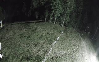Kasina Wielka - widok z górnej s - 02-08-2025 01:16