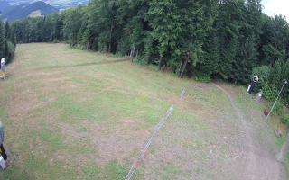 Kasina Wielka - widok z górnej s - 02-08-2025 07:05