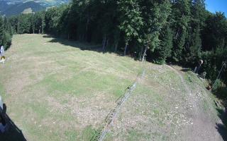 Kasina Wielka - widok z górnej s - 02-08-2025 09:12