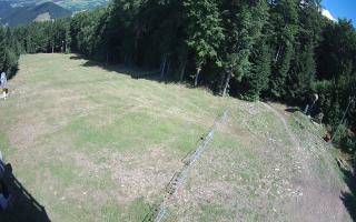 Kasina Wielka - widok z górnej s - 02-08-2025 09:26
