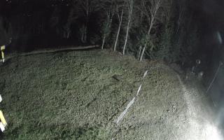 Kasina Wielka - widok z górnej s - 02-11-2025 20:37