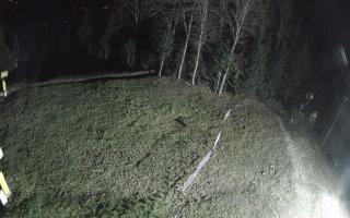 Kasina Wielka - widok z górnej s - 03-11-2025 03:04