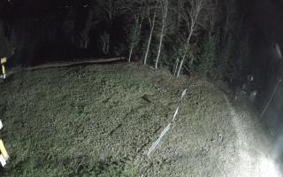 Kasina Wielka - widok z górnej s - 03-11-2025 03:32