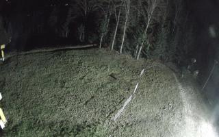 Kasina Wielka - widok z górnej s - 03-11-2025 03:39